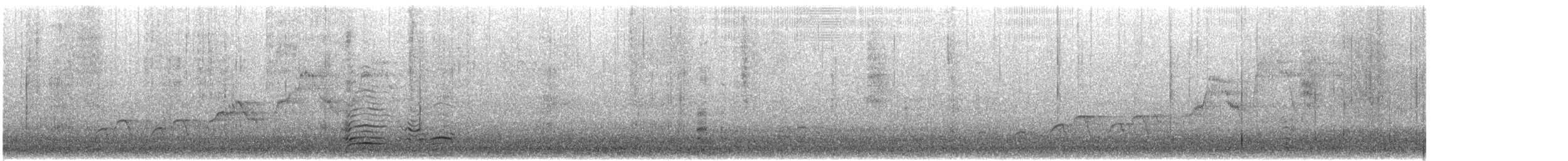 Дрізд-короткодзьоб Cвенсона - ML621082070