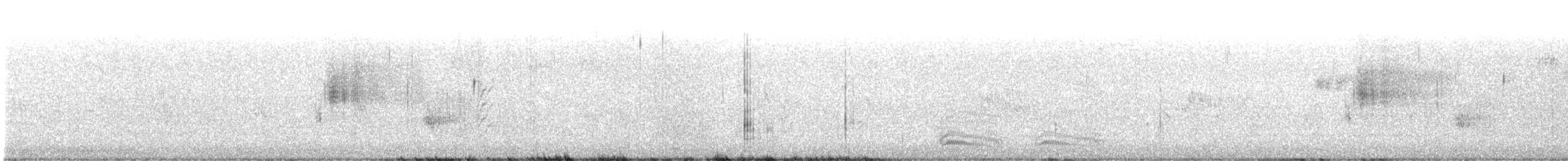 Канадская овсянка-барсучок (subvirgata) - ML621082420