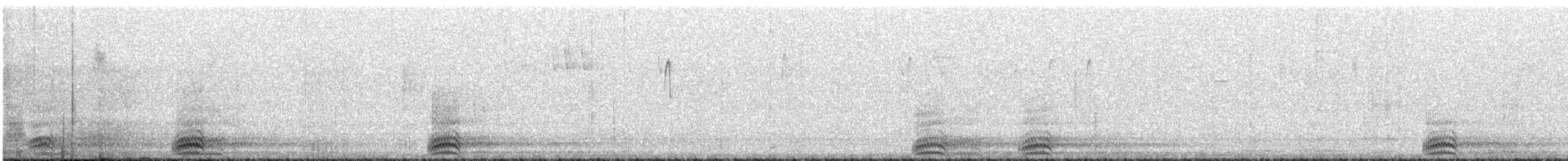 Common Raven - ML621084292