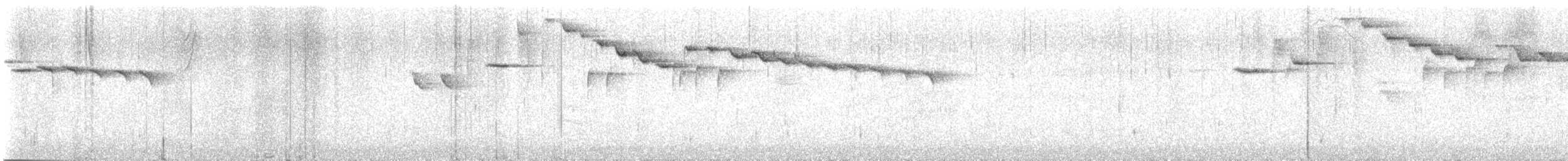 Percefleur glauque - ML621085214