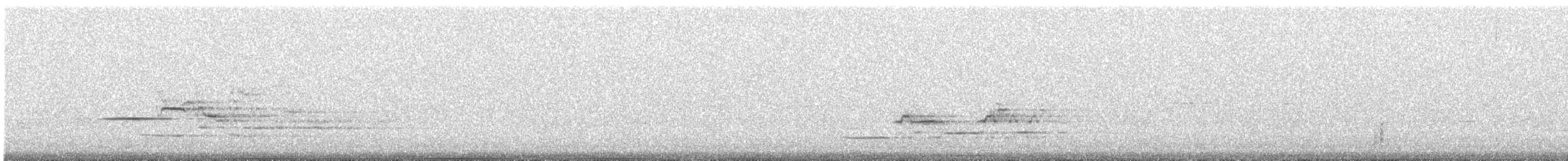 Дрізд-короткодзьоб плямистоволий - ML621085744