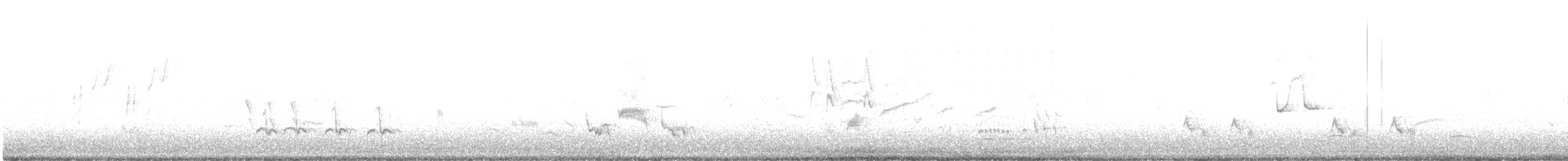 Тремблер прямодзьобий - ML621088174