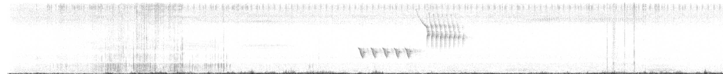 Тауї плямистий - ML621089901