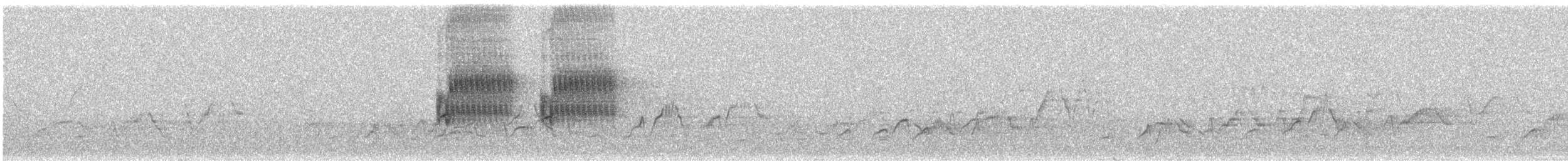 Тауї плямистий - ML621091134