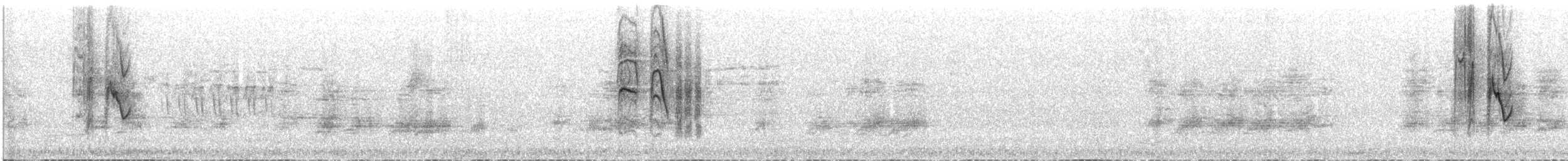 コガラ（songarus グループ） - ML621092235