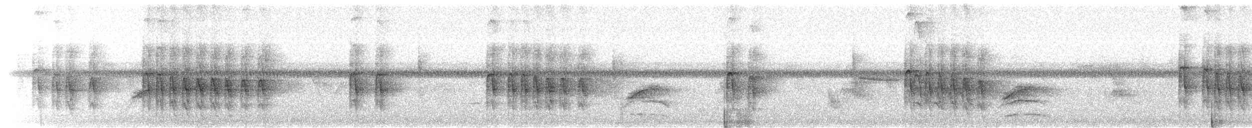 Pic chevelu (groupe villosus) - ML621092377