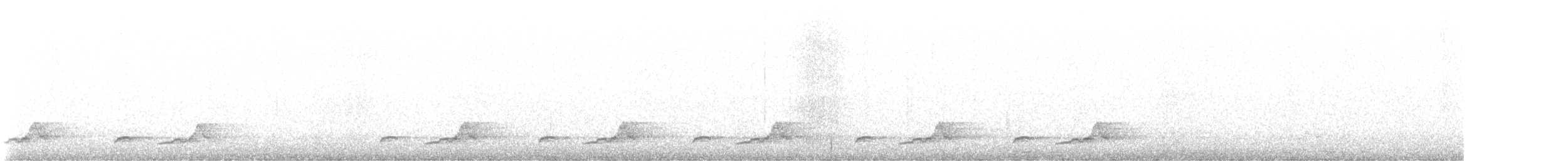 Schwarzkehl-Nachtschwalbe - ML621093006