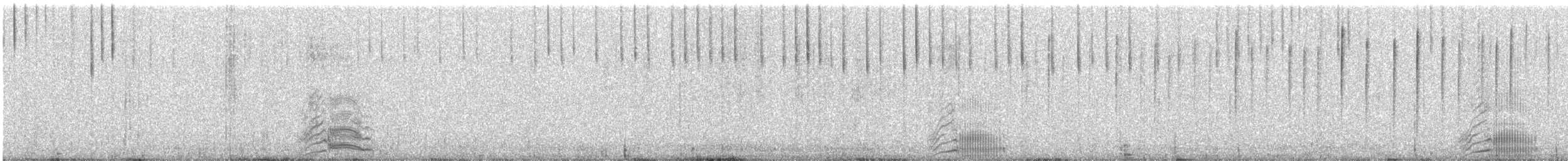 疣鼻天鵝 - ML621093019