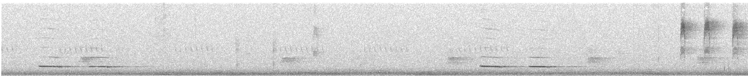 Chevêchette cabouré - ML621095640