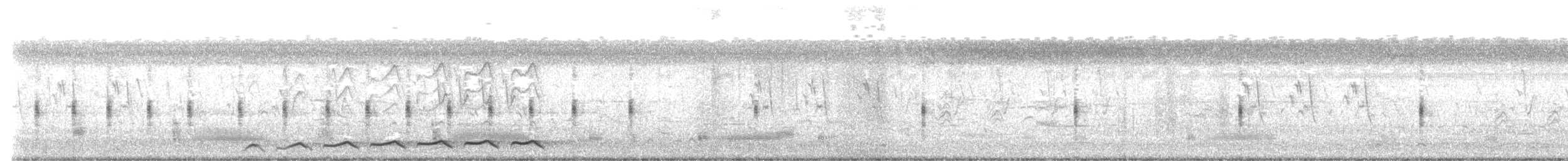 Slaty-breasted Rail - ML621096055