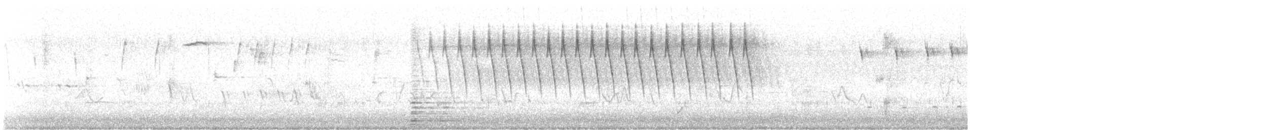 Schwirrammer - ML621096881