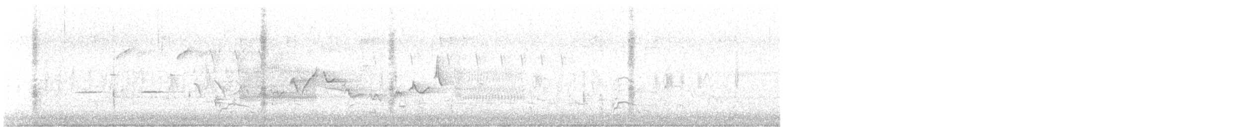 Warbling Vireo - ML621096896
