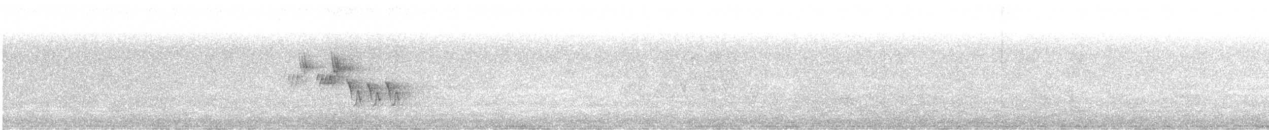 Черногорлая хвойница - ML621097861