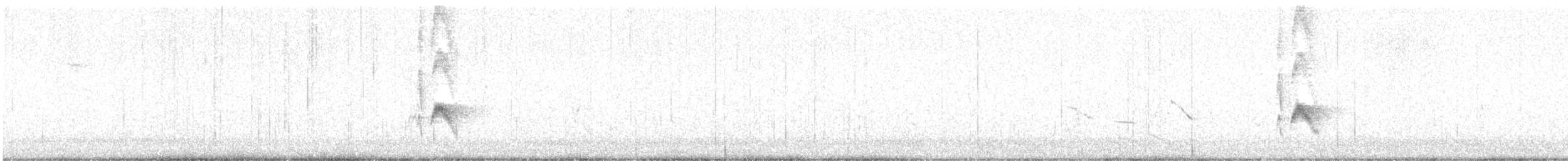 Серогрудый тиранн - ML621099884