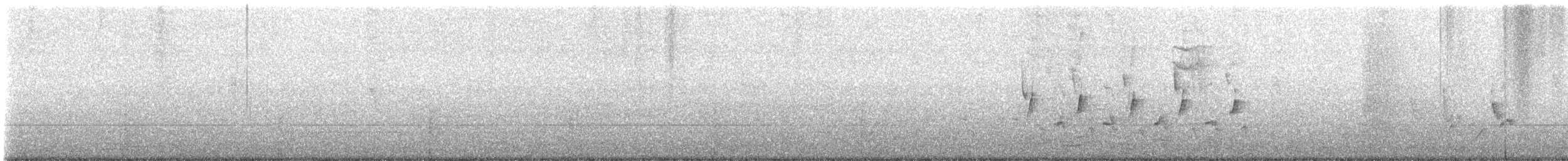 Поплітник каролінський - ML621100859