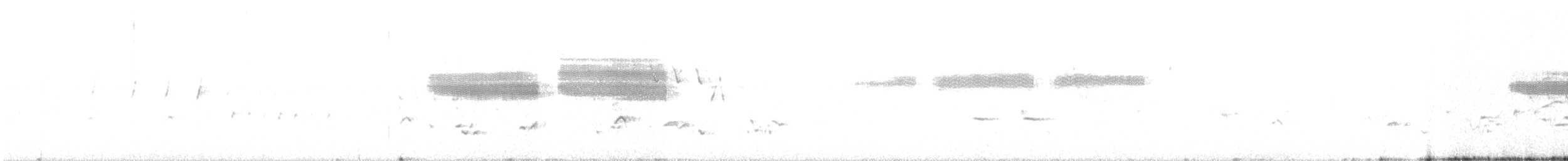grånakkespurv - ML621101554