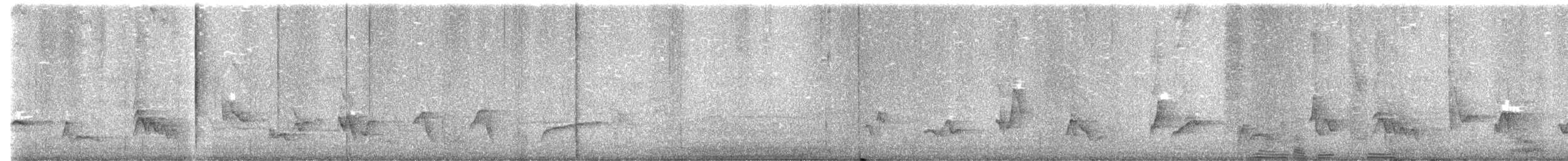Черноголовый толстонос - ML621101958