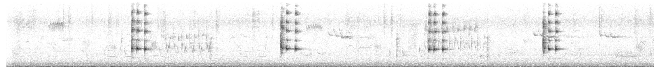 chřástal virginský (ssp. limicola/friedmanni) - ML621102046