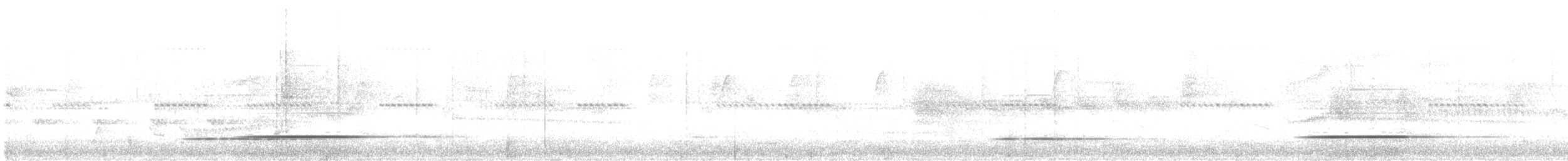 Серый скрытохвост - ML621102644