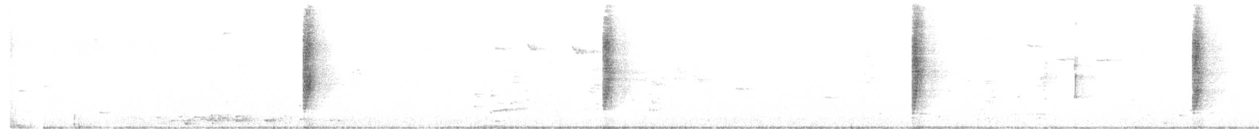 White-banded Mockingbird - ML621103257