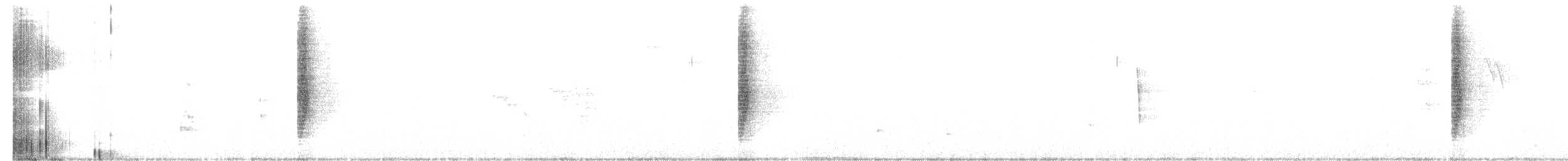 Weißbinden-Spottdrossel - ML621103289
