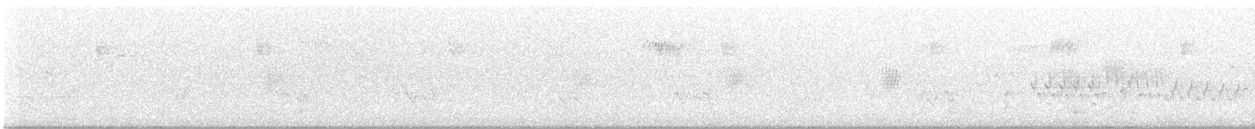 Kuzeyli Sert Kanatlı Kırlangıç - ML621103630