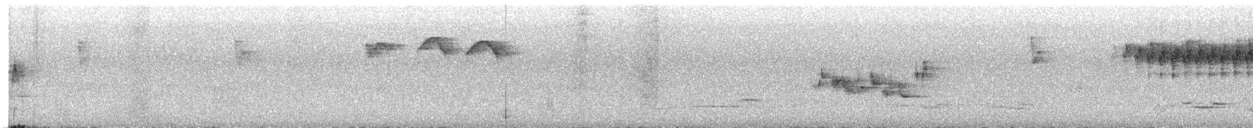 Gray Wagtail - ML621105300