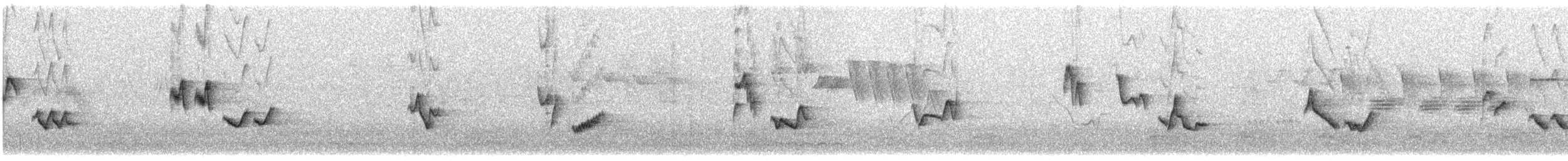 Vireo occhirossi - ML621105825