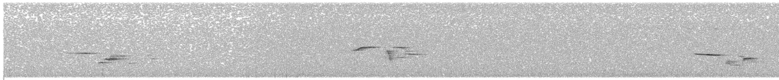 Дрізд-короткодзьоб плямистоволий - ML621106606