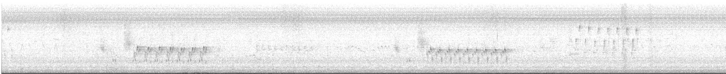Troglodyte des marais - ML621107548