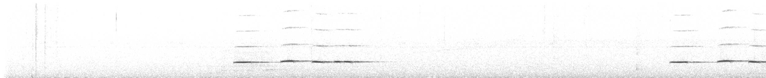 Tavus Guguğu - ML621109800