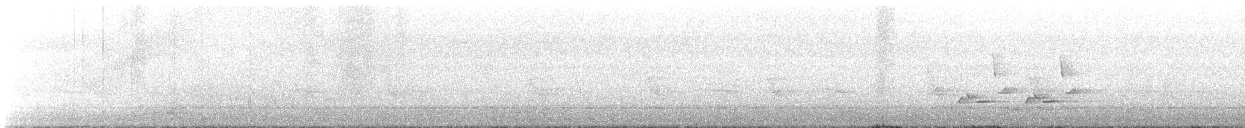 Поплітник каролінський - ML621110482