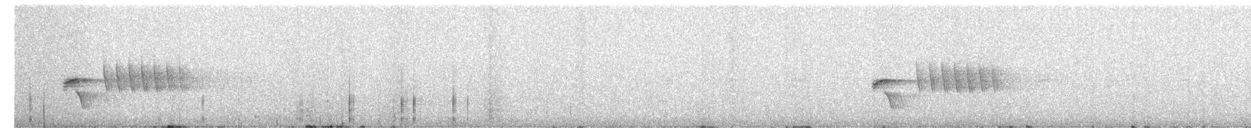 Тауї плямистий - ML621111314