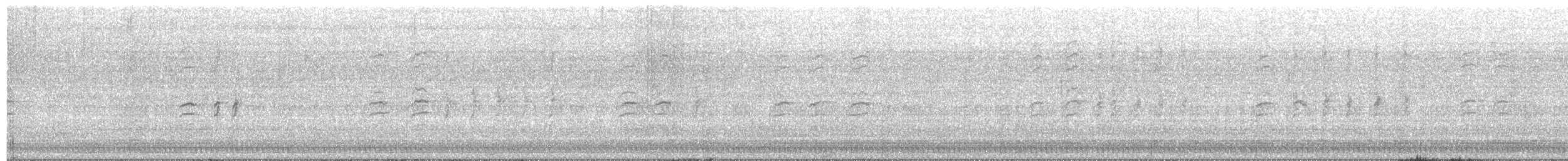 křivka bělokřídlá - ML621111347