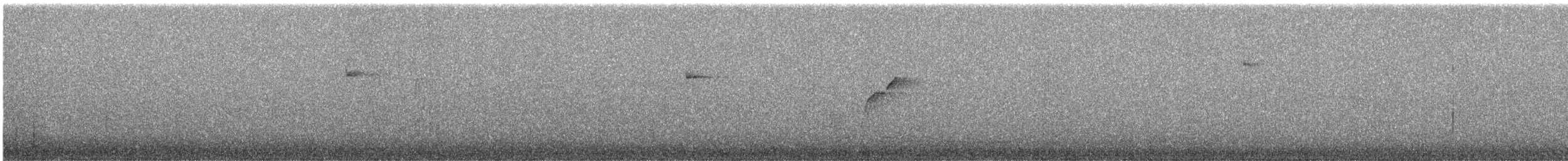 Batı Amerika Sinekkapanı (occidentalis/hellmayri) - ML621111426