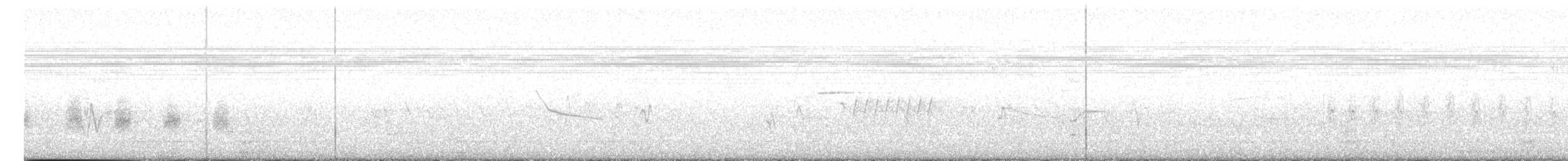 Flötenstärling (auricollis) - ML621113011