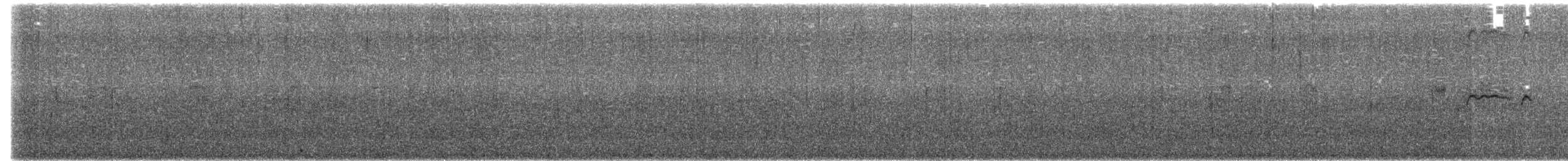 Mirlo Acuático Norteamericano - ML621114154