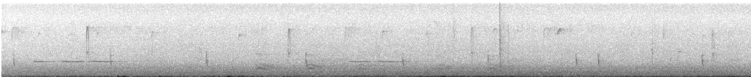 Дрізд-короткодзьоб плямистоволий (підвид faxoni/crymophilus) - ML621115073