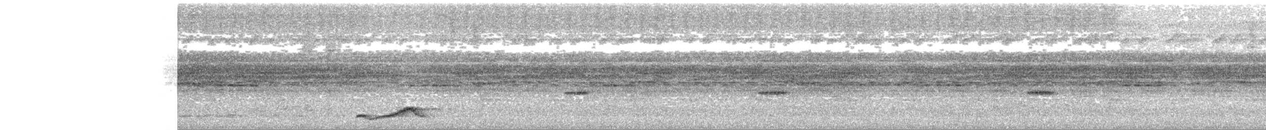 Pauraquenachtschwalbe - ML621115094