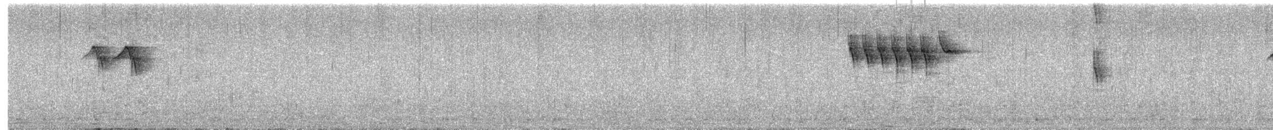 Buztanikara horia - ML621115394