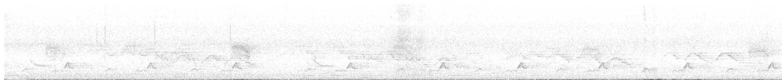 Schwarzkehl-Nachtschwalbe - ML621115737