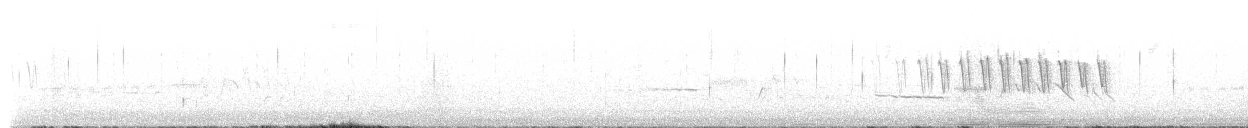 Малая вильсония - ML621116287