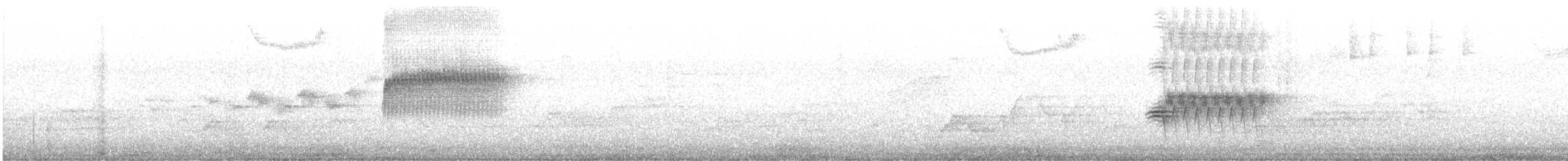 Тауї плямистий - ML621116484
