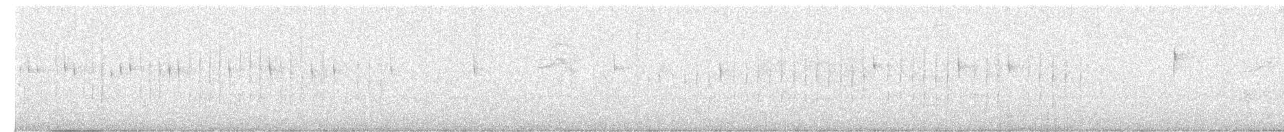 Остроклювый акробат - ML621116605