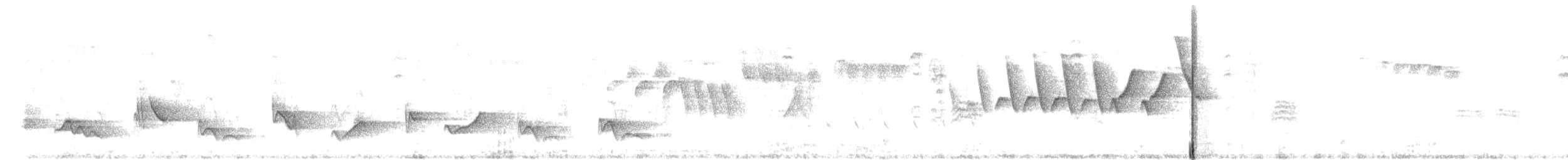 Черноголовый толстонос - ML621118179