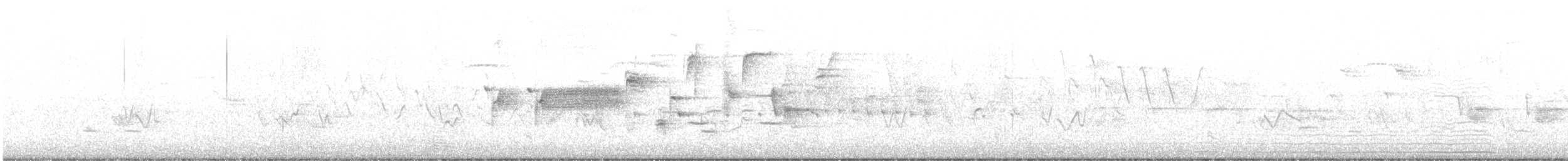 גיבתונית רוננת - ML621120159