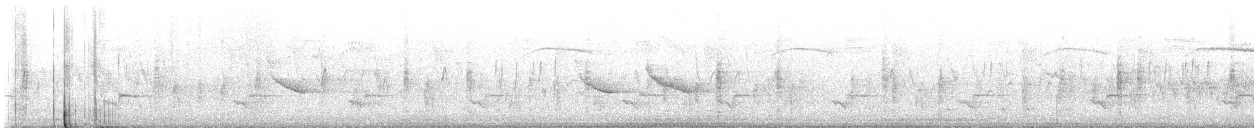 trupiál baltimorský - ML621120220