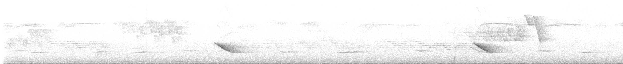Бурый соловьиный дрозд - ML621120284