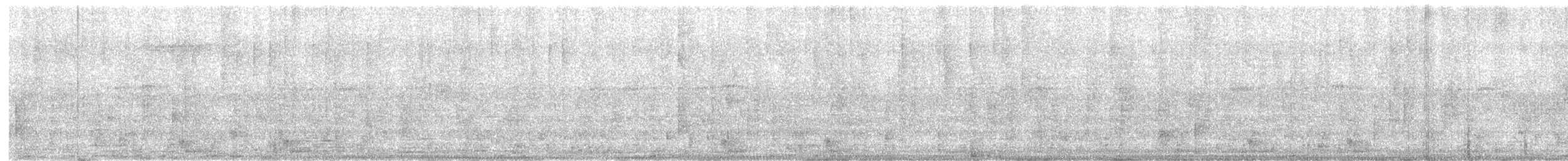Langschwanz-Nachtschwalbe - ML621120628