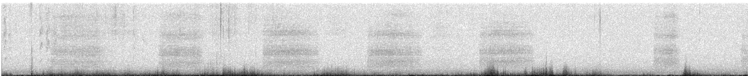 Chara de Steller - ML621120873